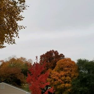 Meet your Posher, Diana